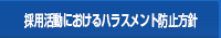 �̗p�����ɂ�����n���X�����g�h�~���j