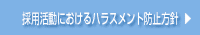 �̗p�����ɂ�����n���X�����g�h�~���j
